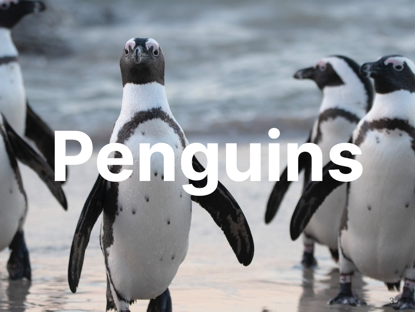 The title slide with changes to the font to make the text more visible