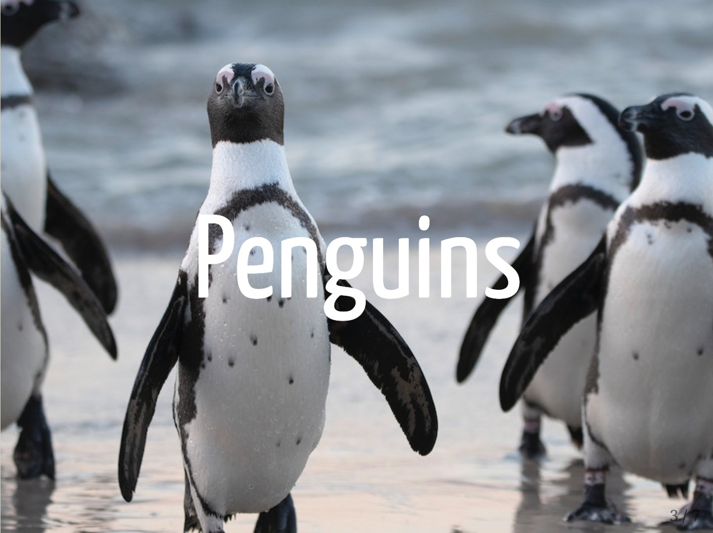 Figure 8-6 The title slide with changes to the text to make it more visible