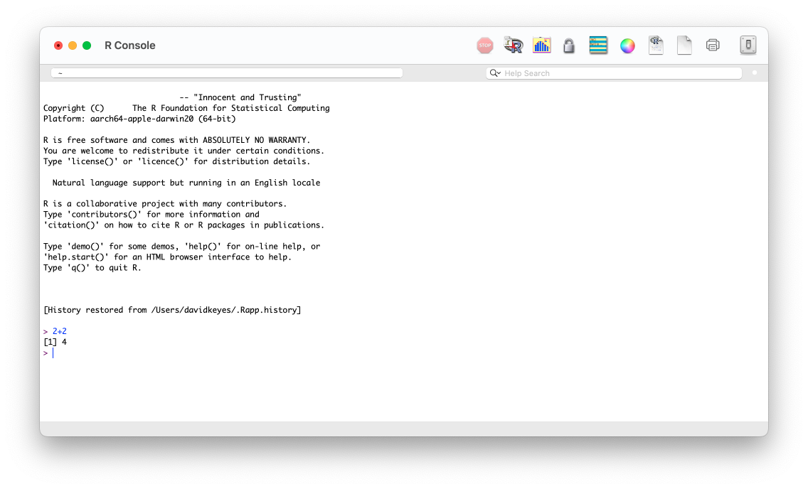 The R console