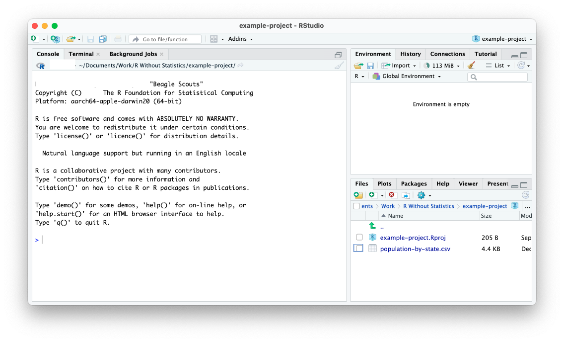 RStudio with an active project