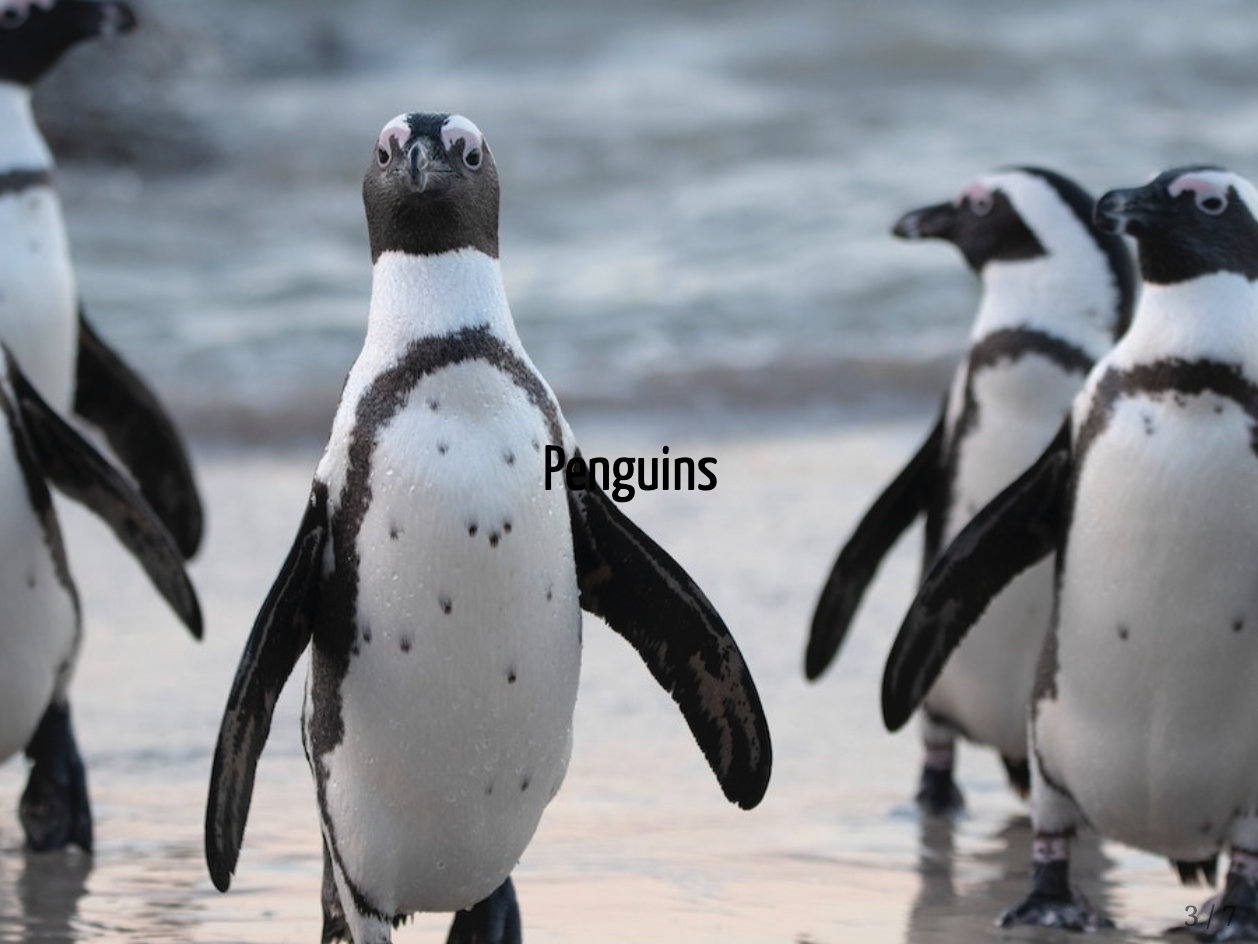 A slide that uses a background image